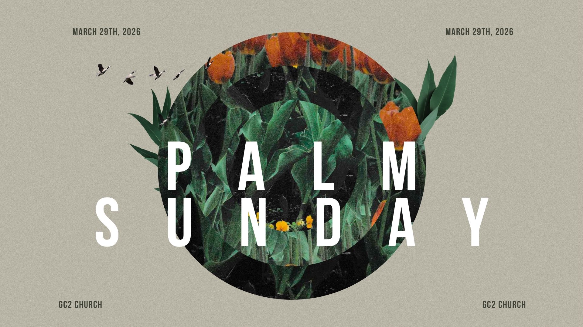 When the King Comes Near