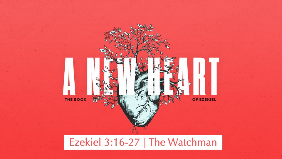 The Watchman